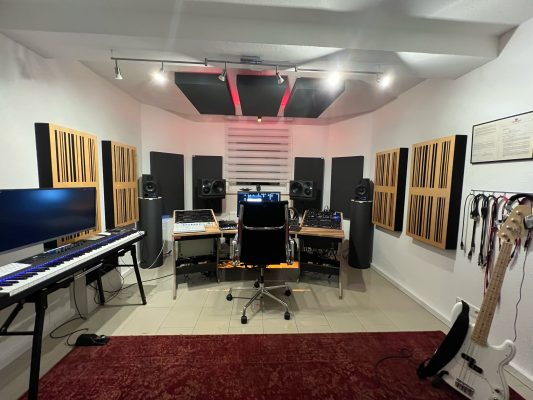 slat acoustic panels in the studio room